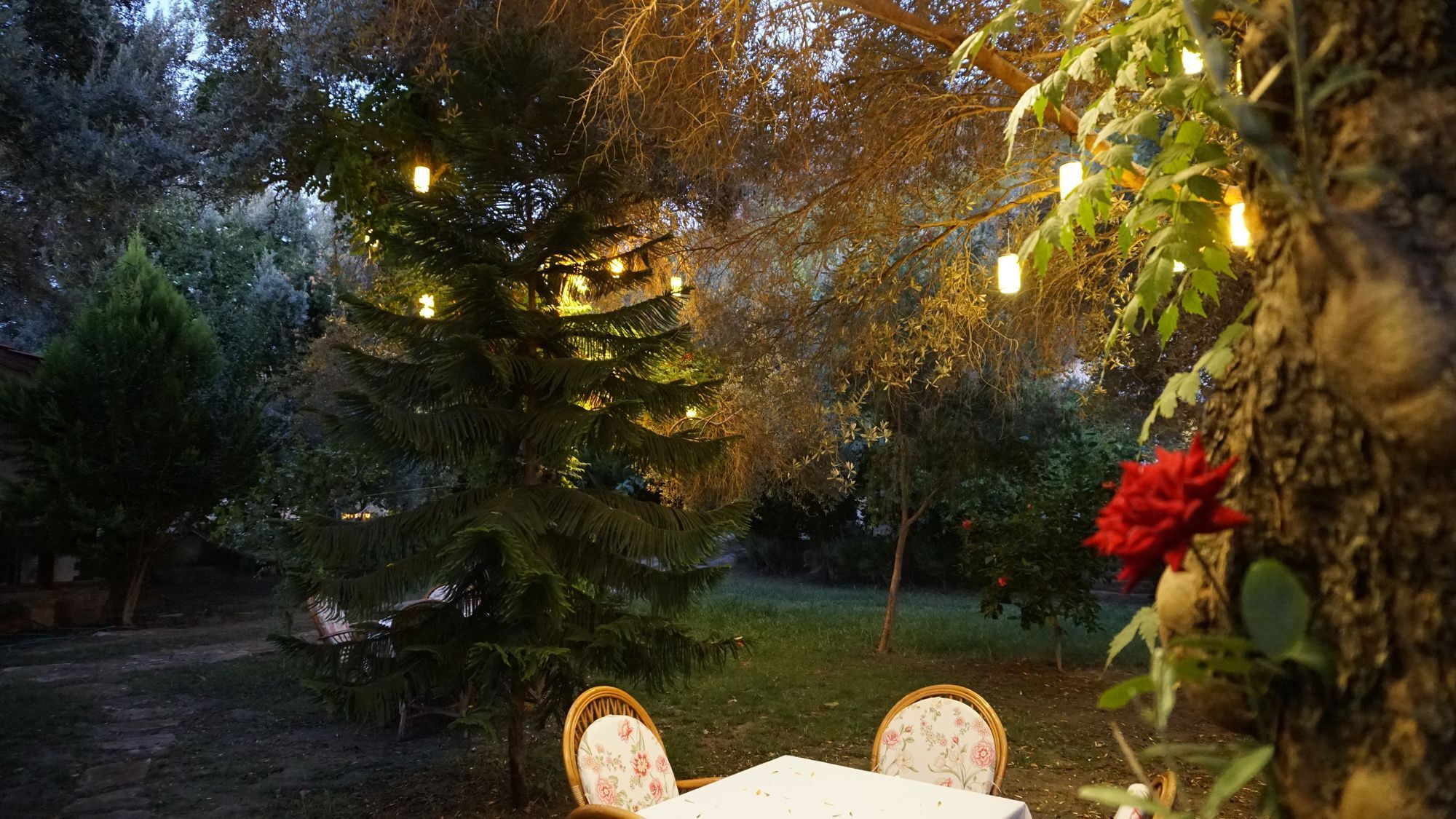 Datca Masal Gibi Kültér fotó
